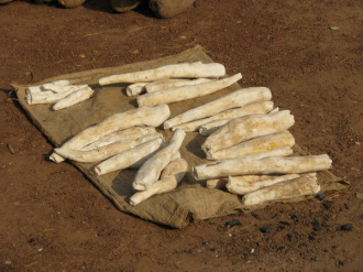 02 Manioc